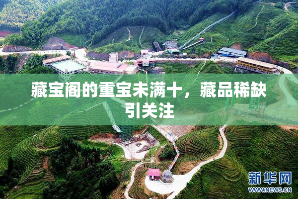 藏宝阁的重宝未满十，藏品稀缺引关注