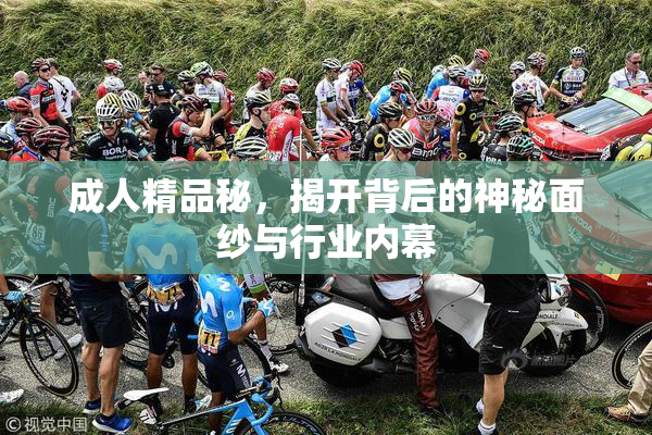 成人精品秘，揭开背后的神秘面纱与行业内幕