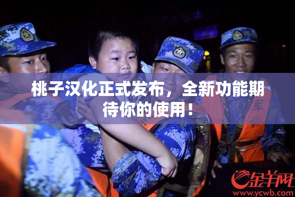 桃子汉化正式发布，全新功能期待你的使用！
