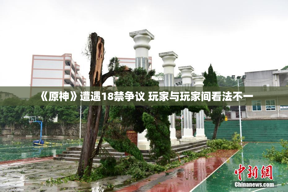 《原神》遭遇18禁争议 玩家与玩家间看法不一