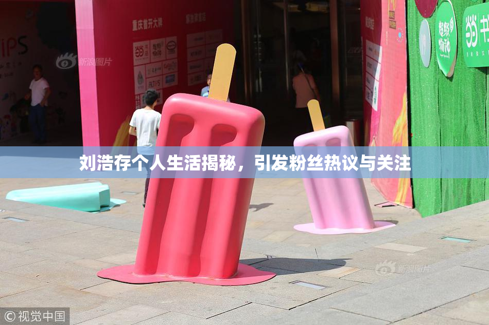 刘浩存个人生活揭秘，引发粉丝热议与关注