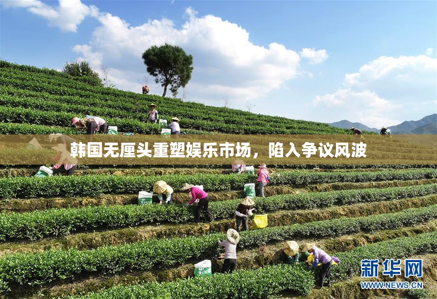 韩国无厘头重塑娱乐市场，陷入争议风波