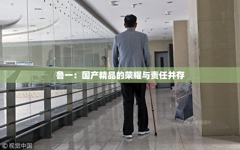 鲁一：国产精品的荣耀与责任并存