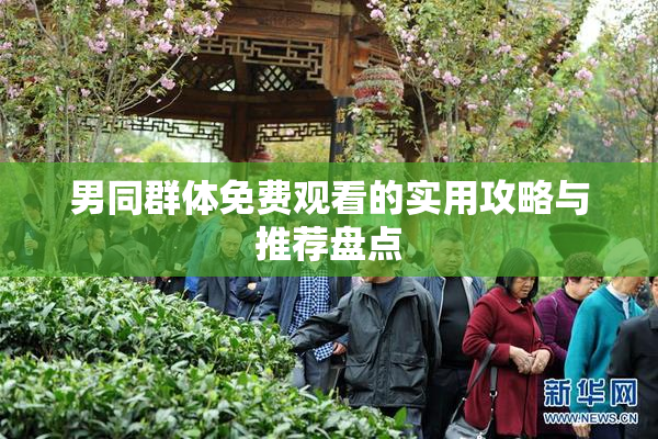 男同群体免费观看的实用攻略与推荐盘点