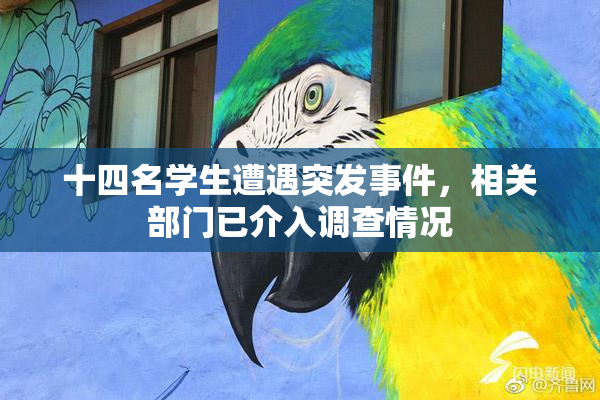 十四名学生遭遇突发事件，相关部门已介入调查情况