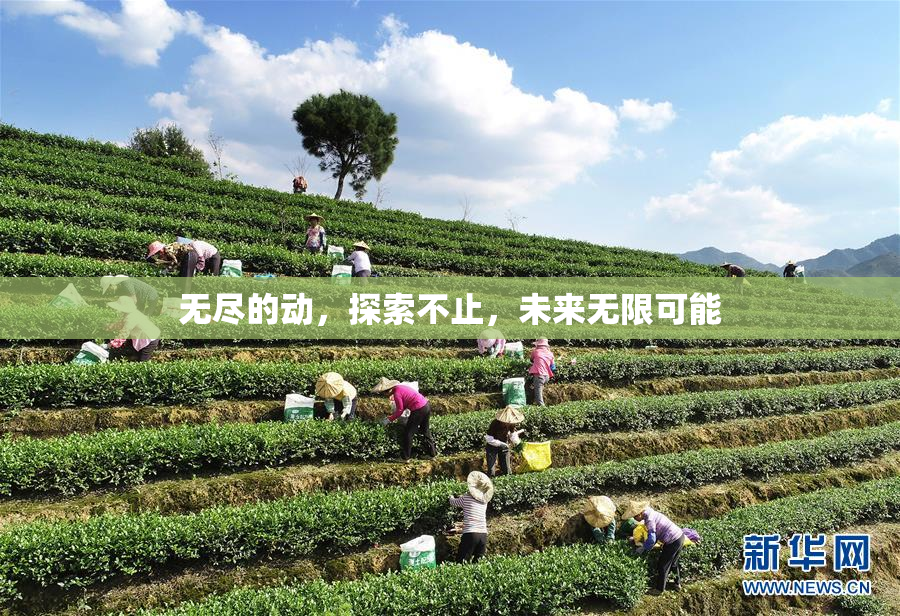 无尽的动，探索不止，未来无限可能