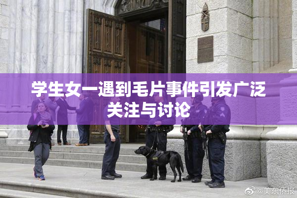 学生女一遇到毛片事件引发广泛关注与讨论