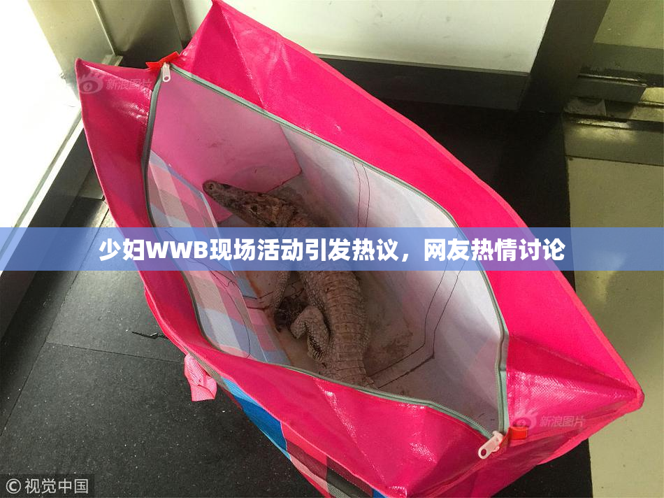 少妇WWB现场活动引发热议，网友热情讨论