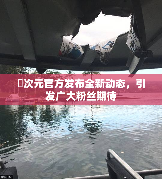 囧次元官方发布全新动态，引发广大粉丝期待