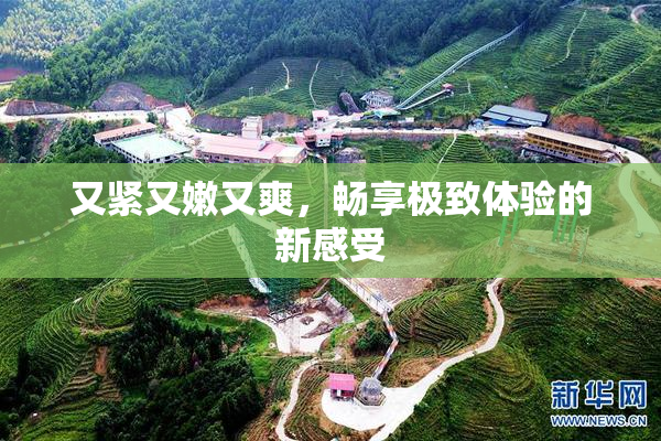 又紧又嫩又爽，畅享极致体验的新感受