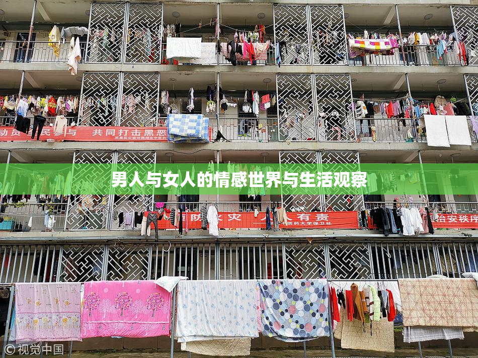 男人与女人的情感世界与生活观察
