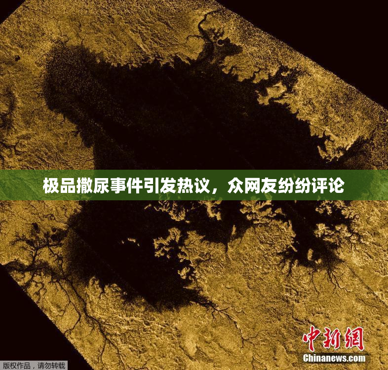 极品撒尿事件引发热议，众网友纷纷评论