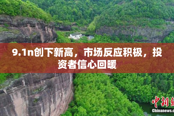 9.1n创下新高，市场反应积极，投资者信心回暖
