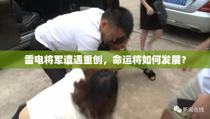 雷电将军遭遇重创，命运将如何发展？
