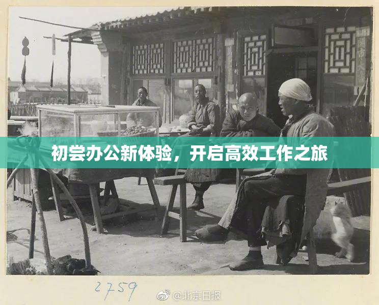 初尝办公新体验，开启高效工作之旅