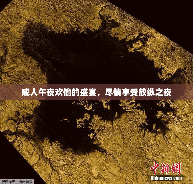 成人午夜欢愉的盛宴，尽情享受放纵之夜