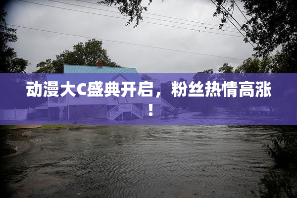 动漫大C盛典开启，粉丝热情高涨！