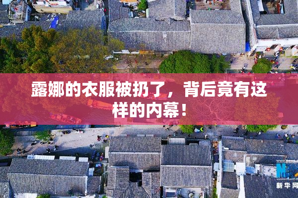 露娜的衣服被扔了，背后竟有这样的内幕！