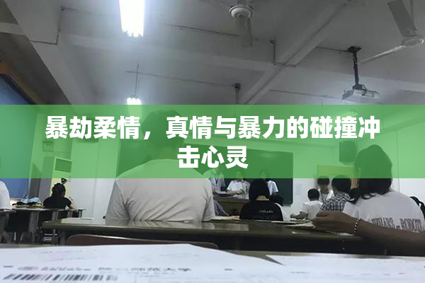 暴劫柔情，真情与暴力的碰撞冲击心灵