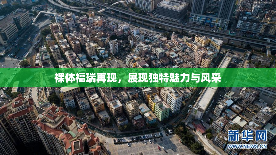 裸体福瑞再现，展现独特魅力与风采