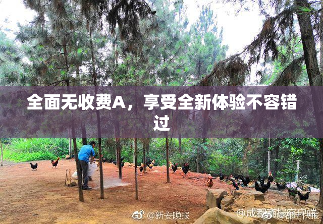 全面无收费A，享受全新体验不容错过
