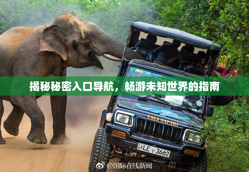 揭秘秘密入口导航，畅游未知世界的指南