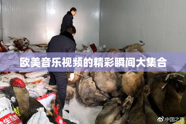 欧美音乐视频的精彩瞬间大集合