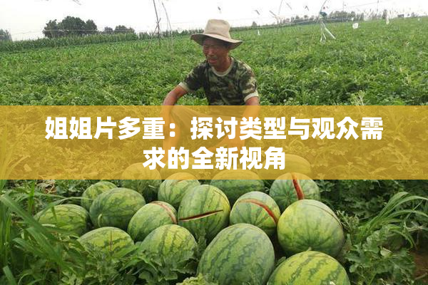 姐姐片多重：探讨类型与观众需求的全新视角