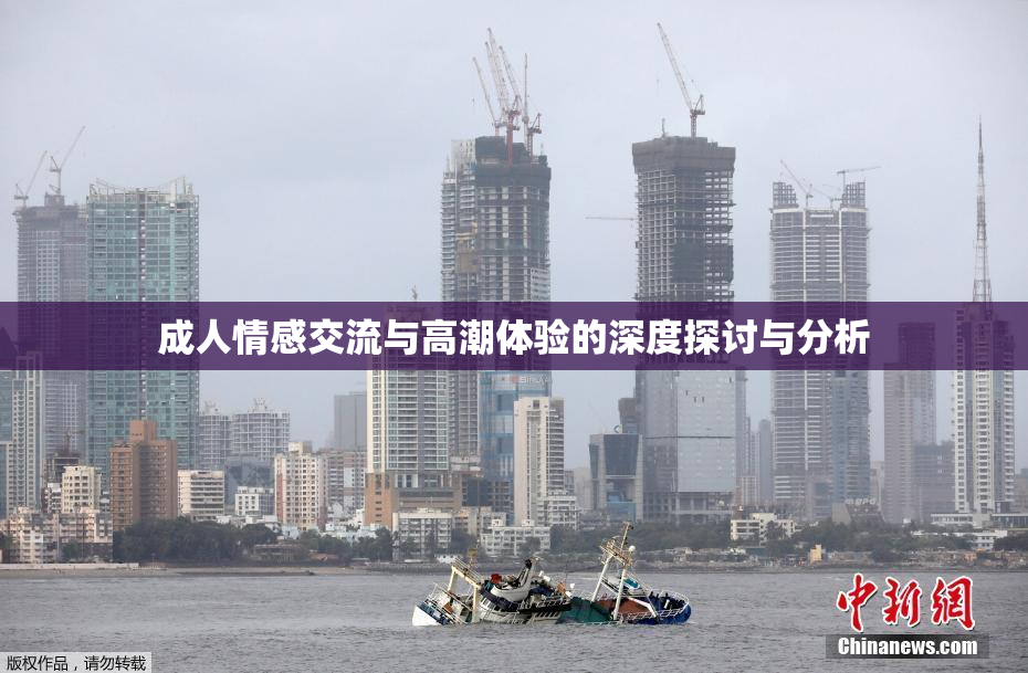 成人情感交流与高潮体验的深度探讨与分析