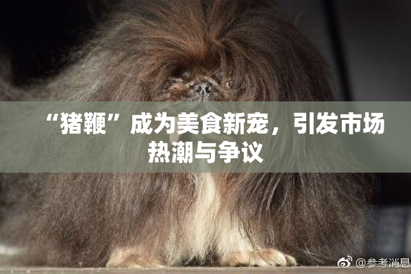 “猪鞭”成为美食新宠，引发市场热潮与争议