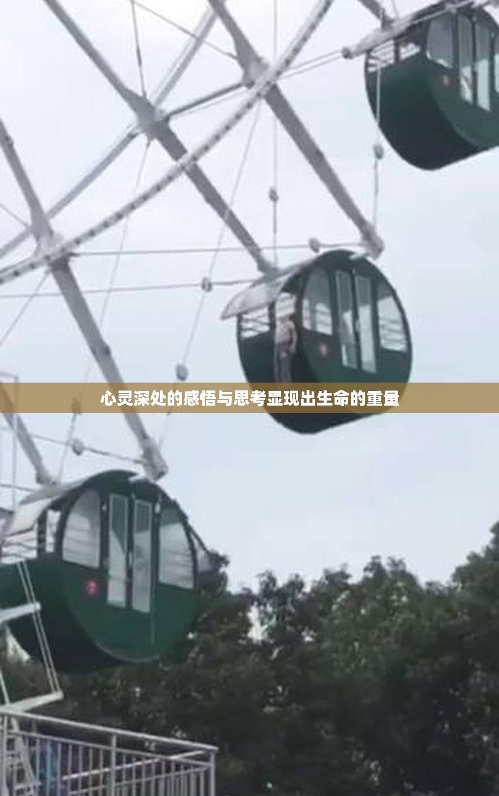心灵深处的感悟与思考显现出生命的重量