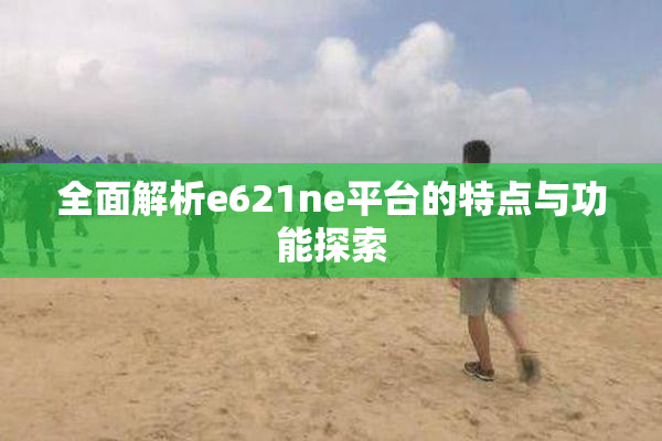全面解析e621ne平台的特点与功能探索