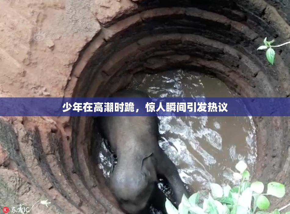 少年在高潮时跪，惊人瞬间引发热议