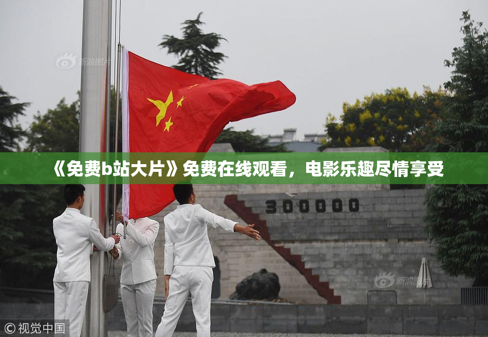 《免费b站大片》免费在线观看，电影乐趣尽情享受