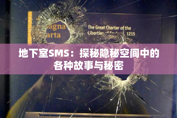 地下室SMS：探秘隐秘空间中的各种故事与秘密
