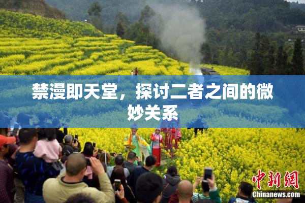 禁漫即天堂，探讨二者之间的微妙关系