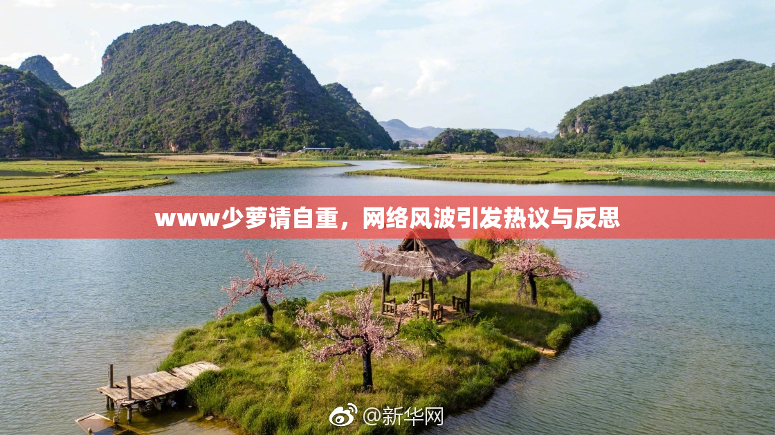 www少萝请自重，网络风波引发热议与反思