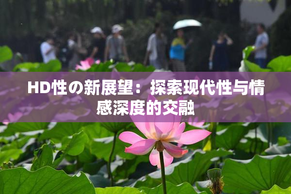 HD性の新展望：探索现代性与情感深度的交融