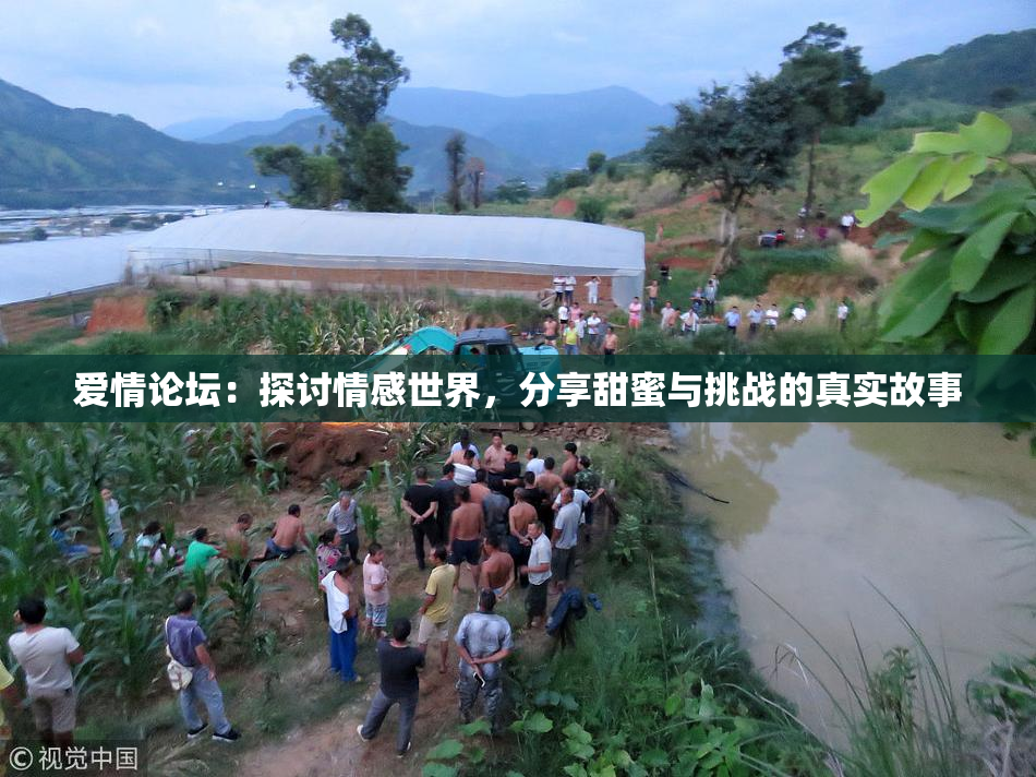 爱情论坛：探讨情感世界，分享甜蜜与挑战的真实故事