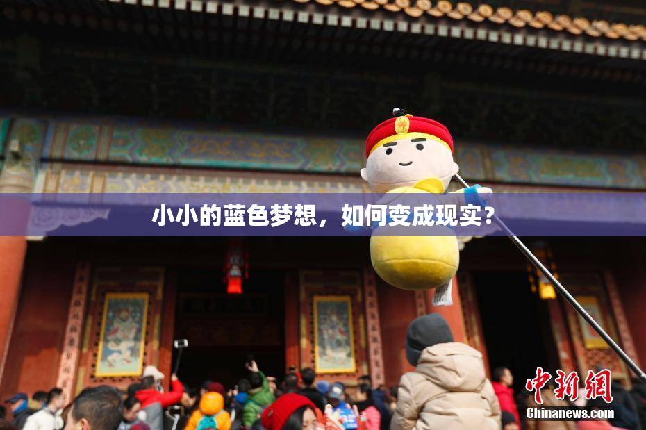 小小的蓝色梦想，如何变成现实？