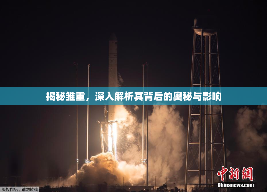 揭秘雏重，深入解析其背后的奥秘与影响