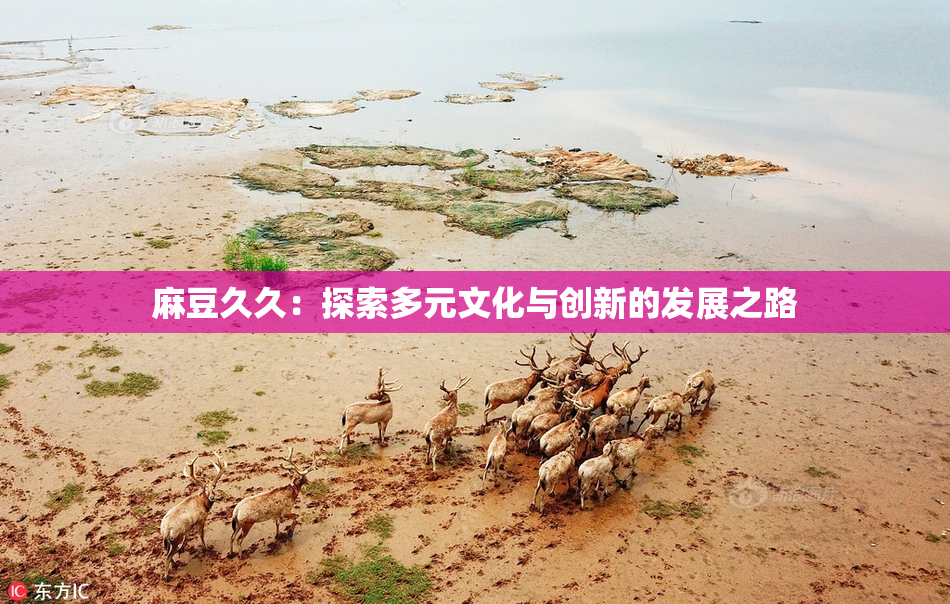 麻豆久久：探索多元文化与创新的发展之路