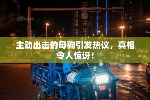主动出击的母狗引发热议，真相令人惊讶！
