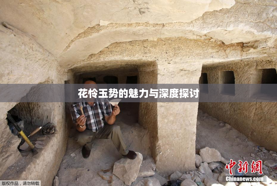 花怜玉势的魅力与深度探讨