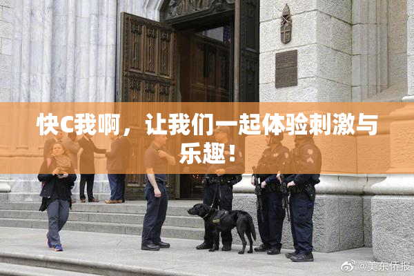 快C我啊，让我们一起体验刺激与乐趣！