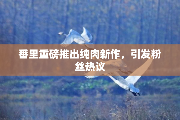 番里重磅推出纯肉新作，引发粉丝热议