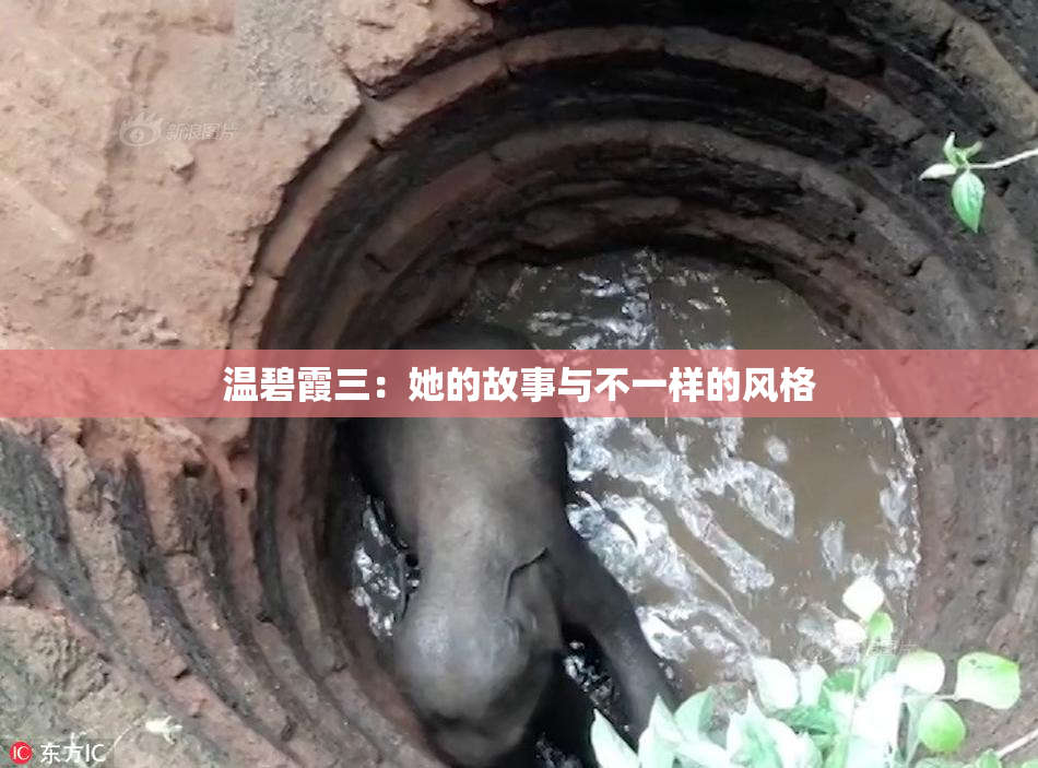 温碧霞三：她的故事与不一样的风格