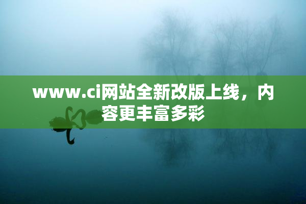 www.ci网站全新改版上线，内容更丰富多彩
