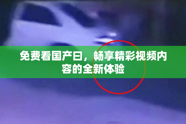 免费看国产曰，畅享精彩视频内容的全新体验
