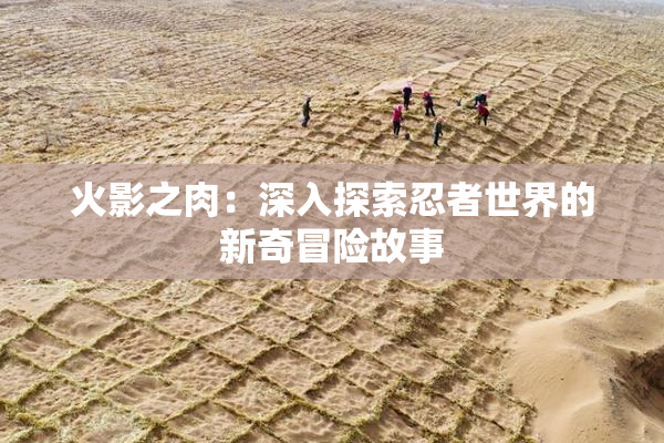 火影之肉：深入探索忍者世界的新奇冒险故事